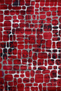 America Abstract Rugs 2013A Red Red