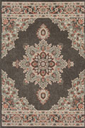 Aperto Medallion Indoor Outdoor Rug 214-B