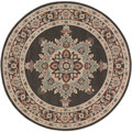 Aperto Medallion Indoor Outdoor Rug 214-B