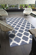 Aperto Trellis Indoor Outdoor Rug 5503-B