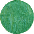 Darwin Shaggy Round Rugs 318 Green Green