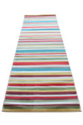 Autumn Contemporary Hallway Runner Rug 0W549 Coral