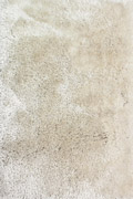 Los Angeles Plain Shaggy Rugs 9725 Jewel Ivory