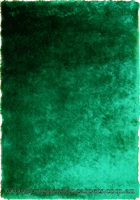 Prestige Plain Shaggy Rug 17-5641-TPX Emerald