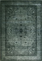 Raymond Traditional Distressed Floral Rugs 1545-M